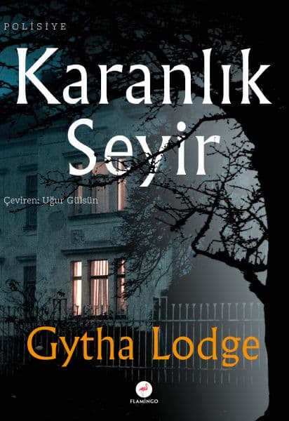 Karanlık Seyir — fotoğraf 1