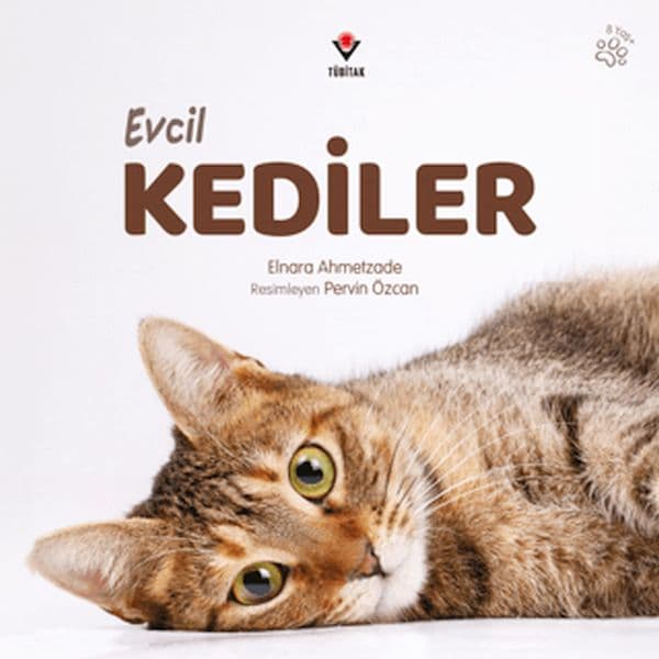 Evcil Kediler — fotoğraf 1