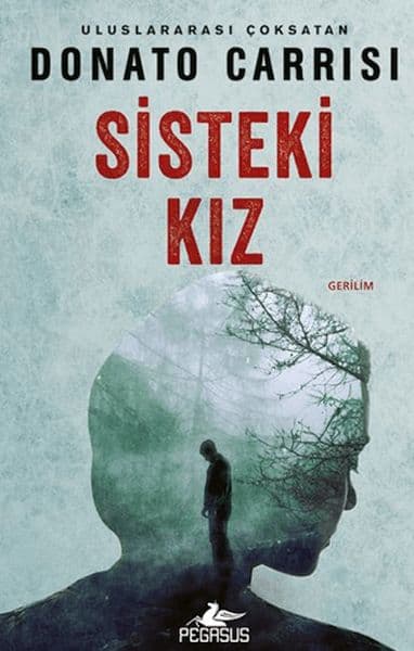 Sisteki Kız — fotoğraf 1