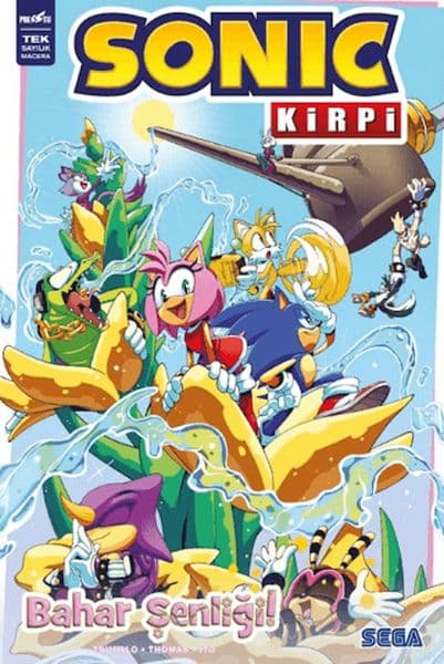 Kirpi Sonic: Bahar Şenliği — fotoğraf 1