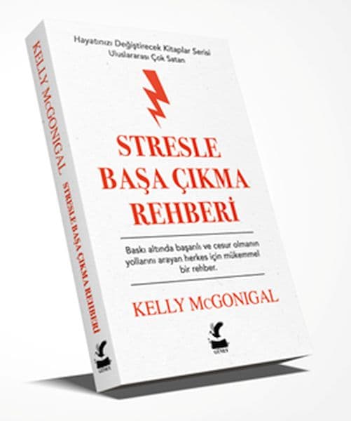 Stresle Başa Çıkma Rehberi — fotoğraf 1