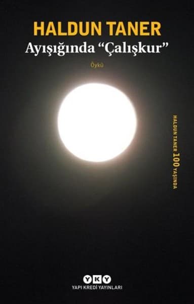 Ayışığında Çalışkur — fotoğraf 1